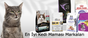 En İyi Kedi Maması Markaları